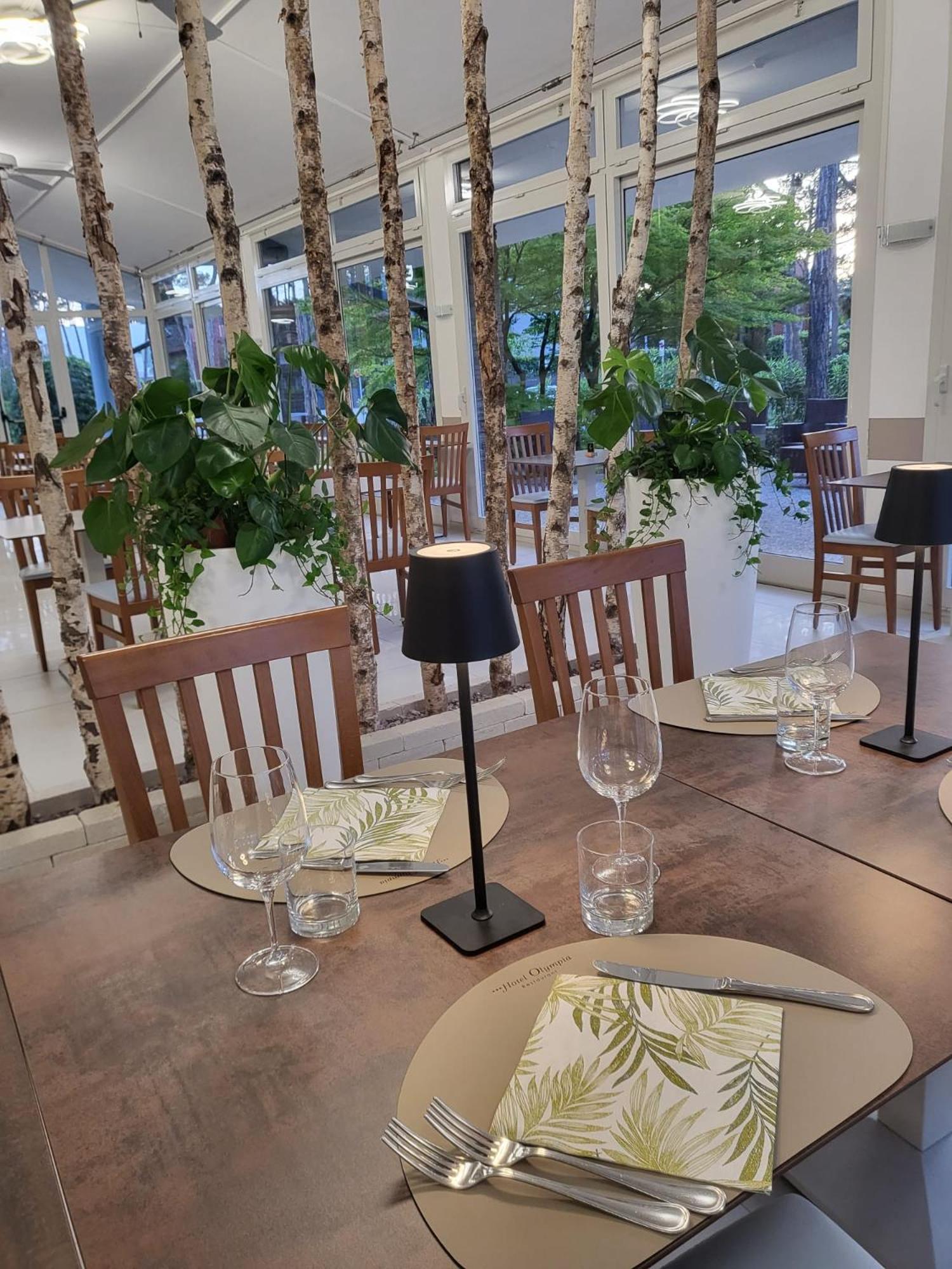 Hotel Olympia リニャーノ・サッビアドーロ エクステリア 写真